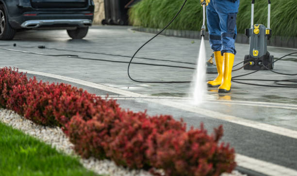 Best Roof Washing  in Pleasantville, NY
